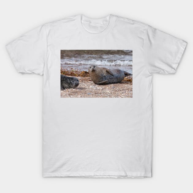 Two common seals at Portgordon Scotland T-Shirt by dianecmcac